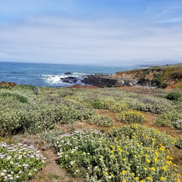 Meet your Posher, Donna - Picture 1 of 1